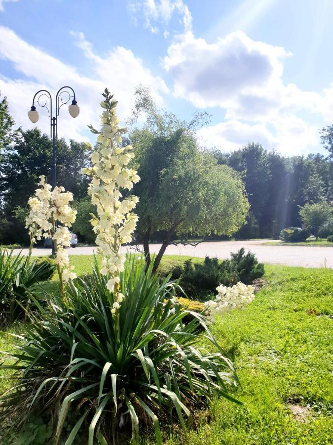 Willa Park Ostrowiec Swietokrzyski Exterior photo
